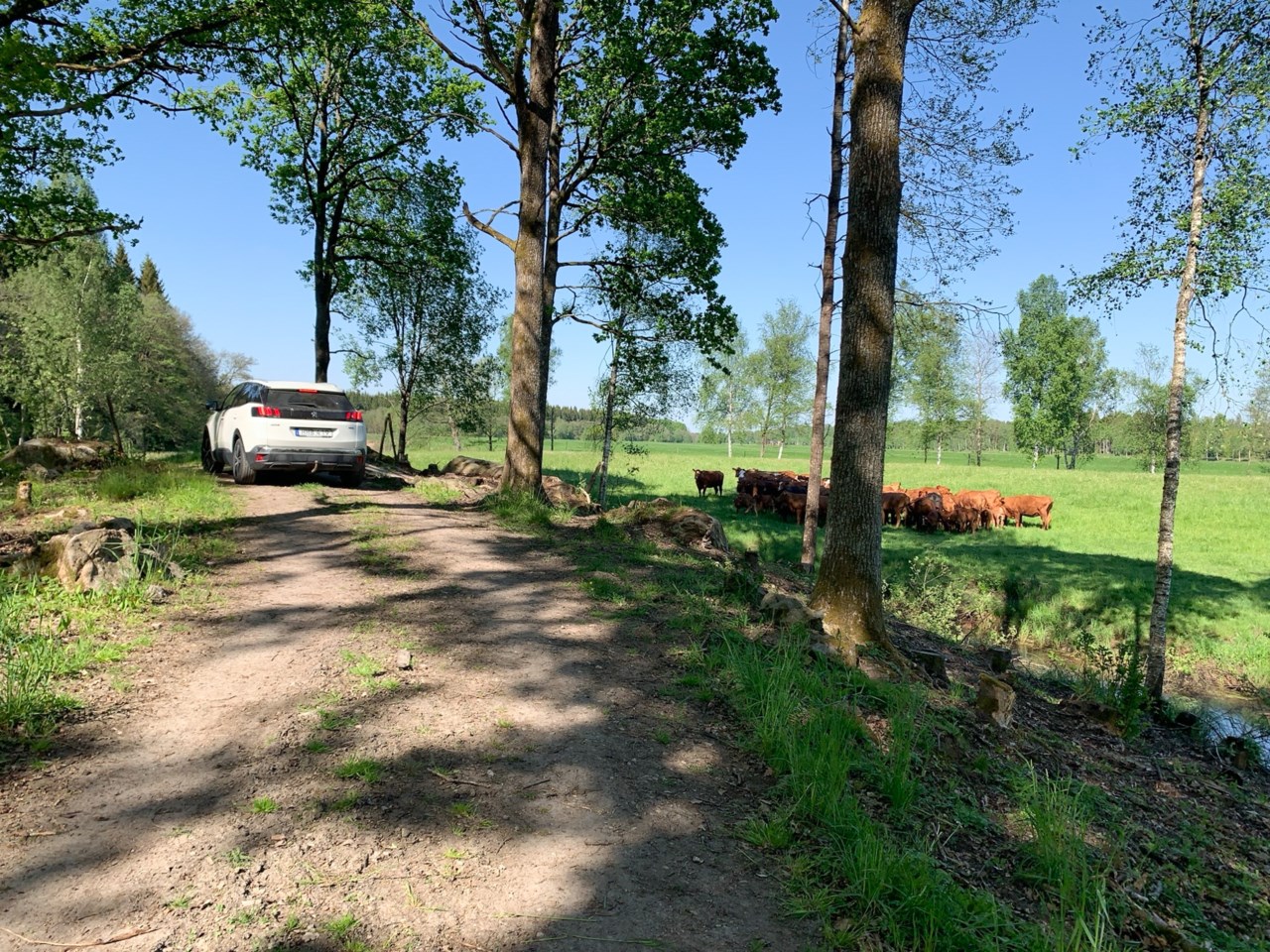 Säljarens egna bilder