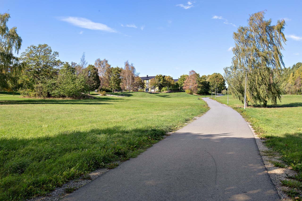 Högsätra promenad mot gröna husen