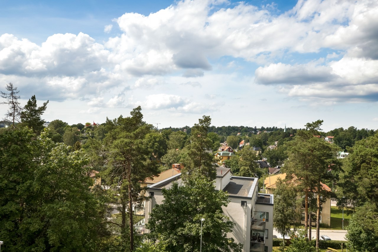 Fredsgränd 11