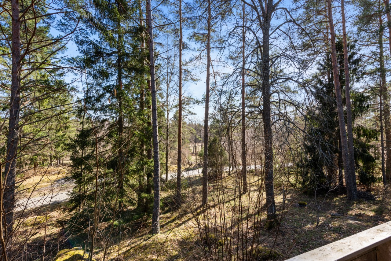 Utsikt mot dalen