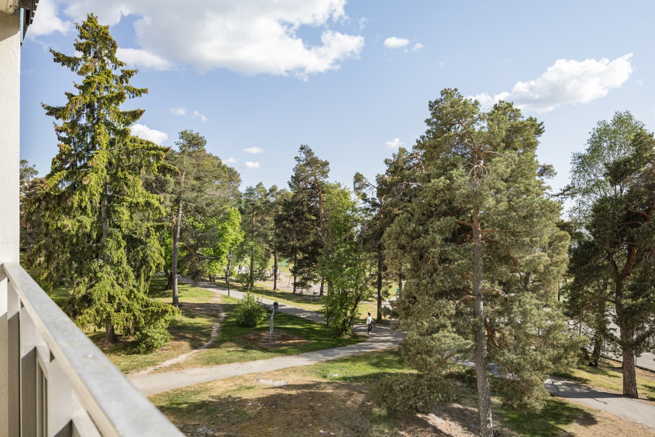 Stamgatan 72