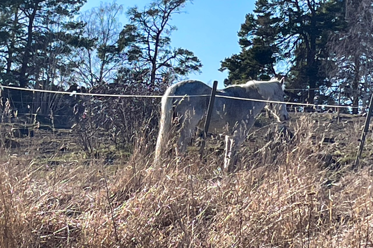 Norrbygårdsväg 29