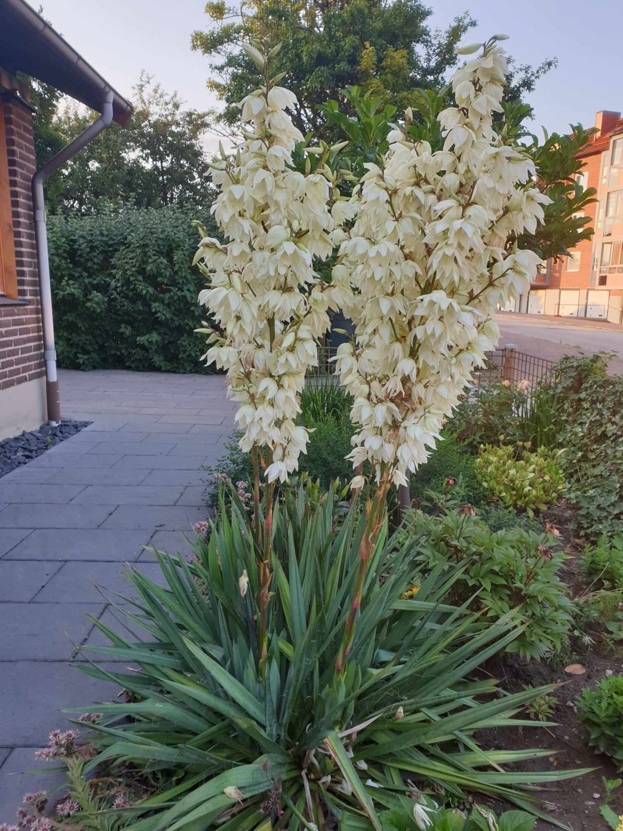 Vångavägen 47