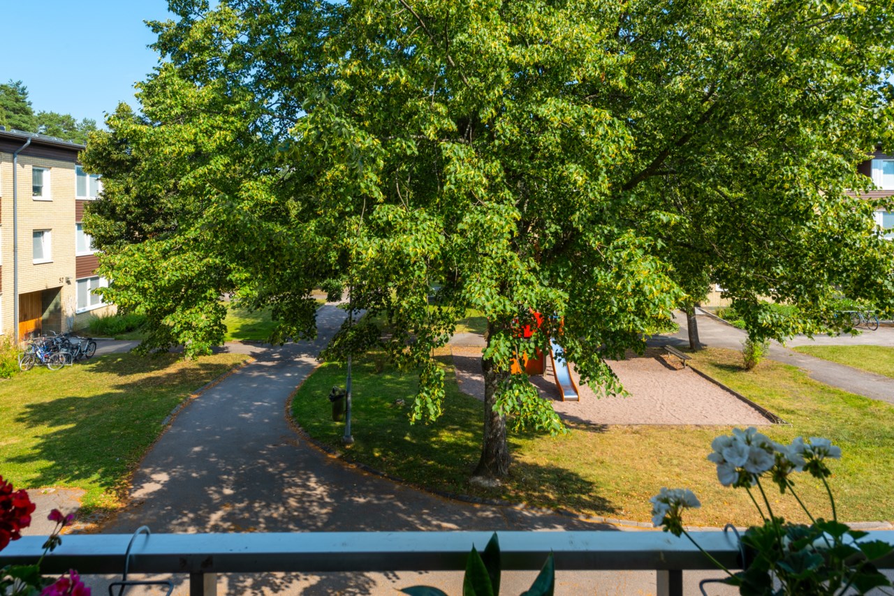 Frejgatan 44