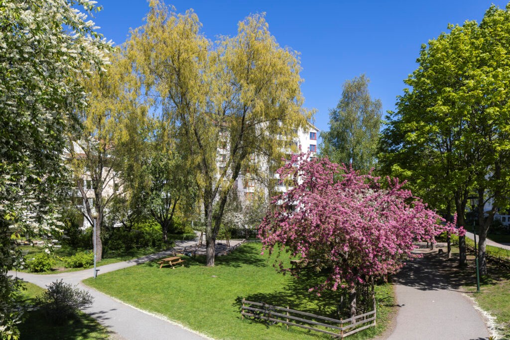 Selmedalsringen 10
