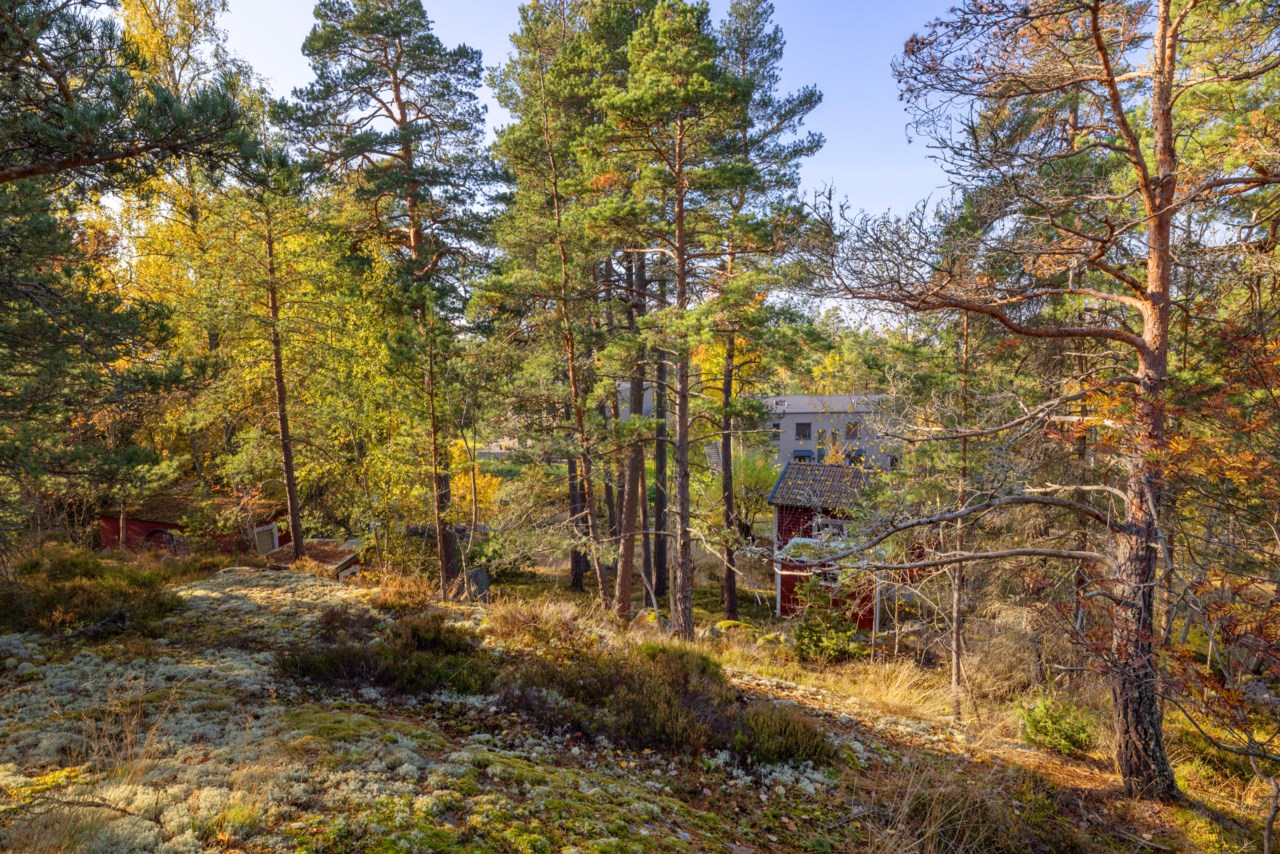 Soldatvägen 35