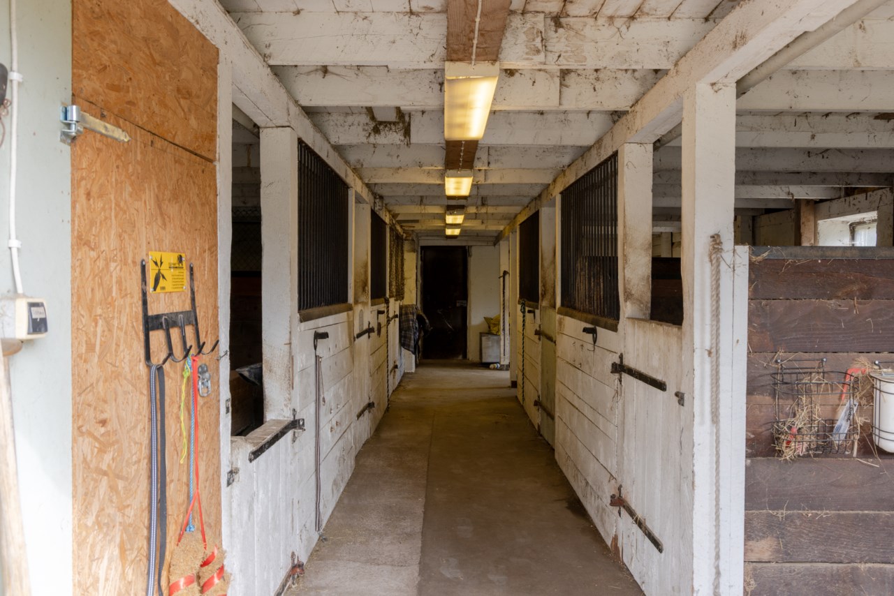 Rås 5