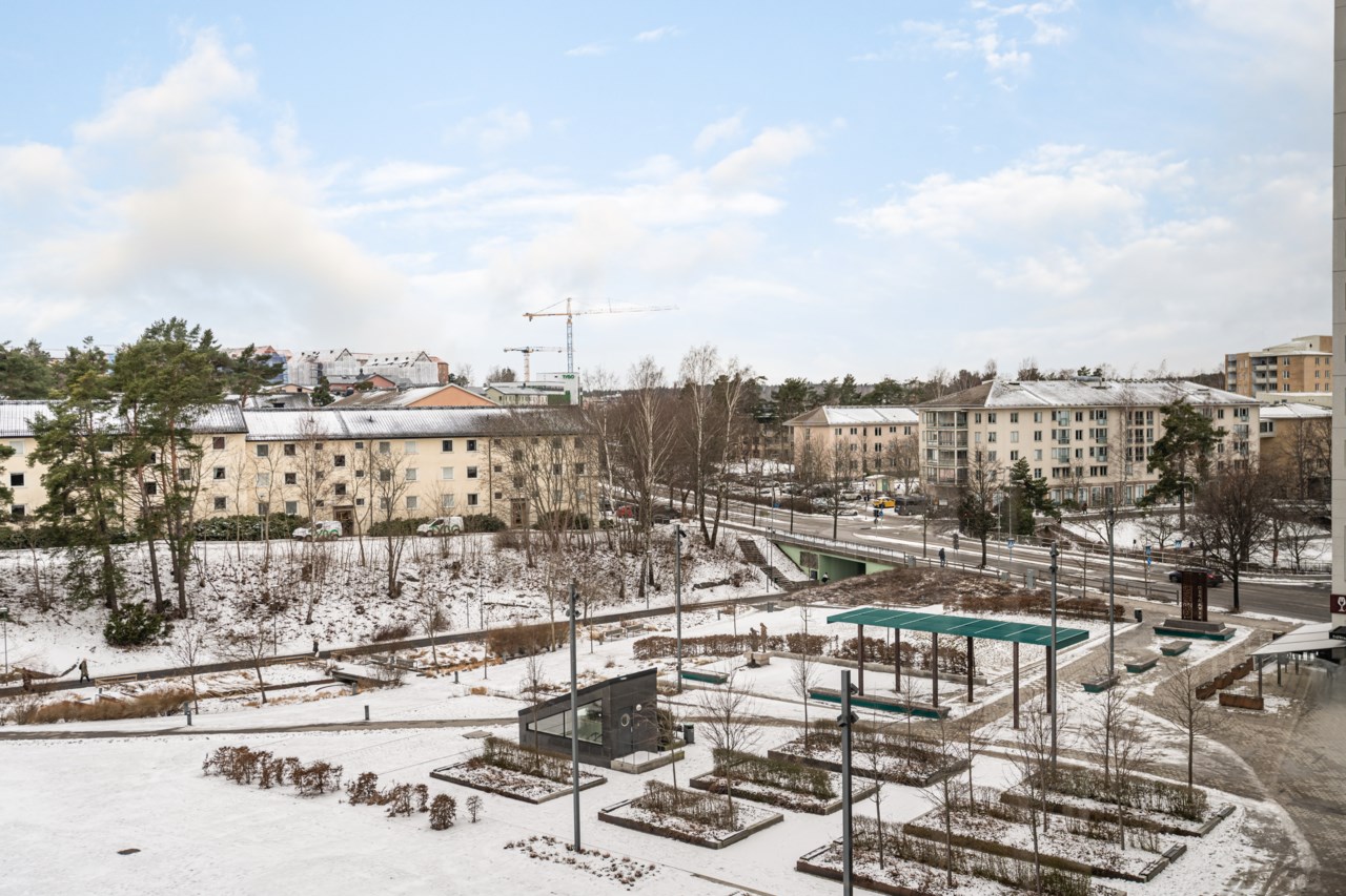 Stadsparken 2