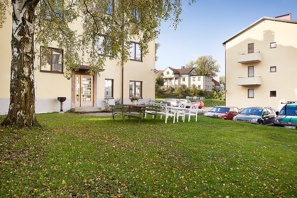Härliga miljöer runt föreningens gård