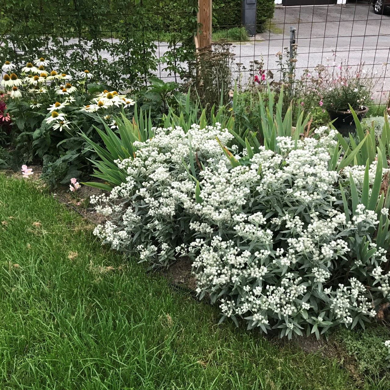 Terrängvägen 23