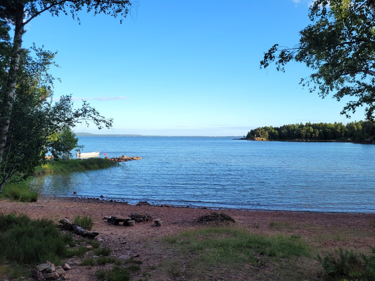 Dereviken 302