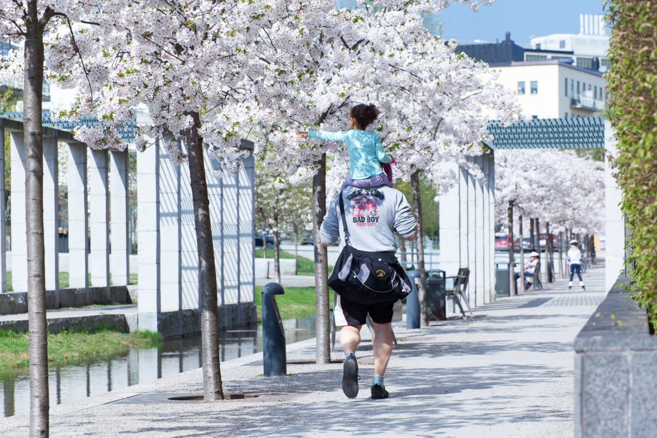 Konvojgatan 5