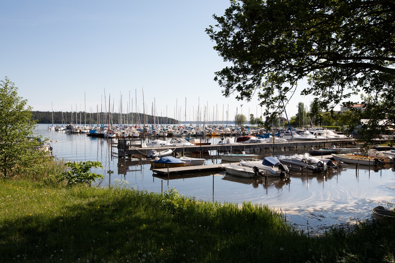 Genetikvägen 12