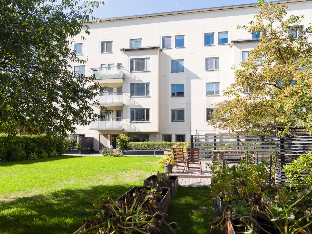 Föreningens grönskande gård