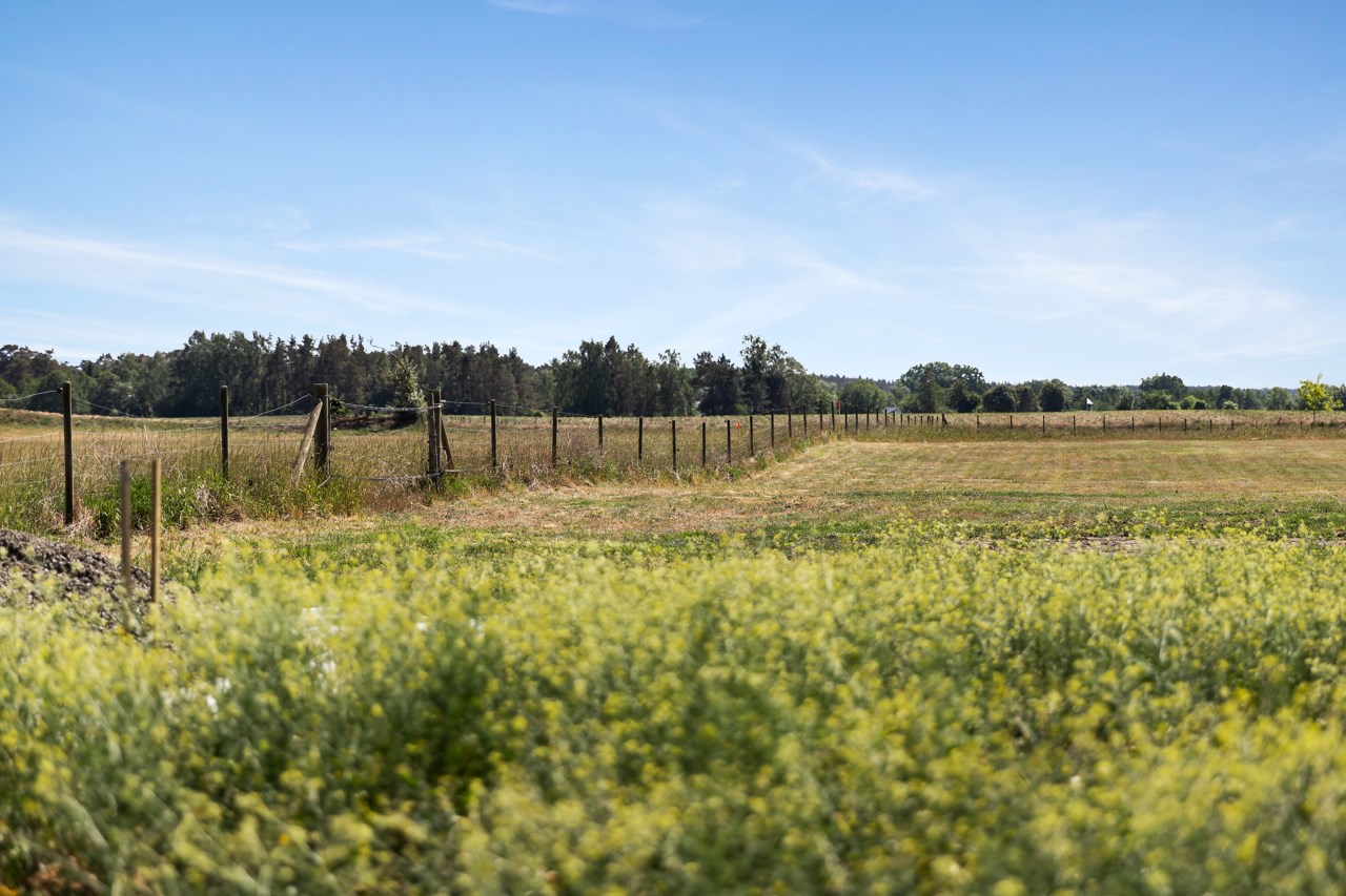 Ripavägen 97