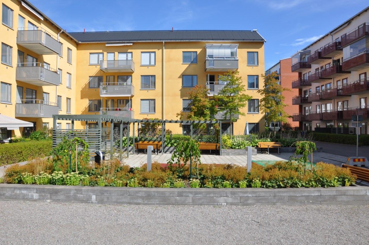 Grönskande innergård