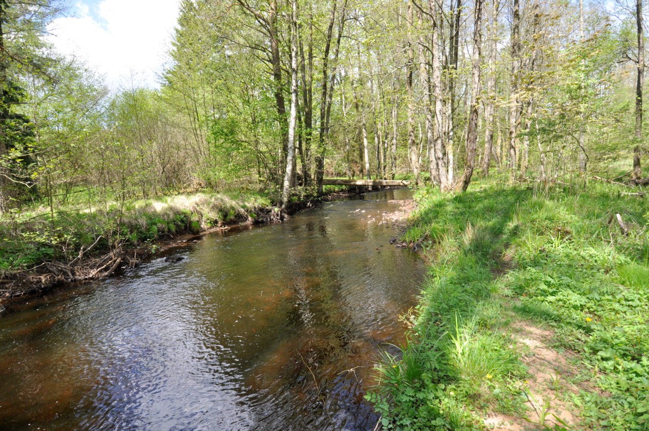 område vid Vänneån