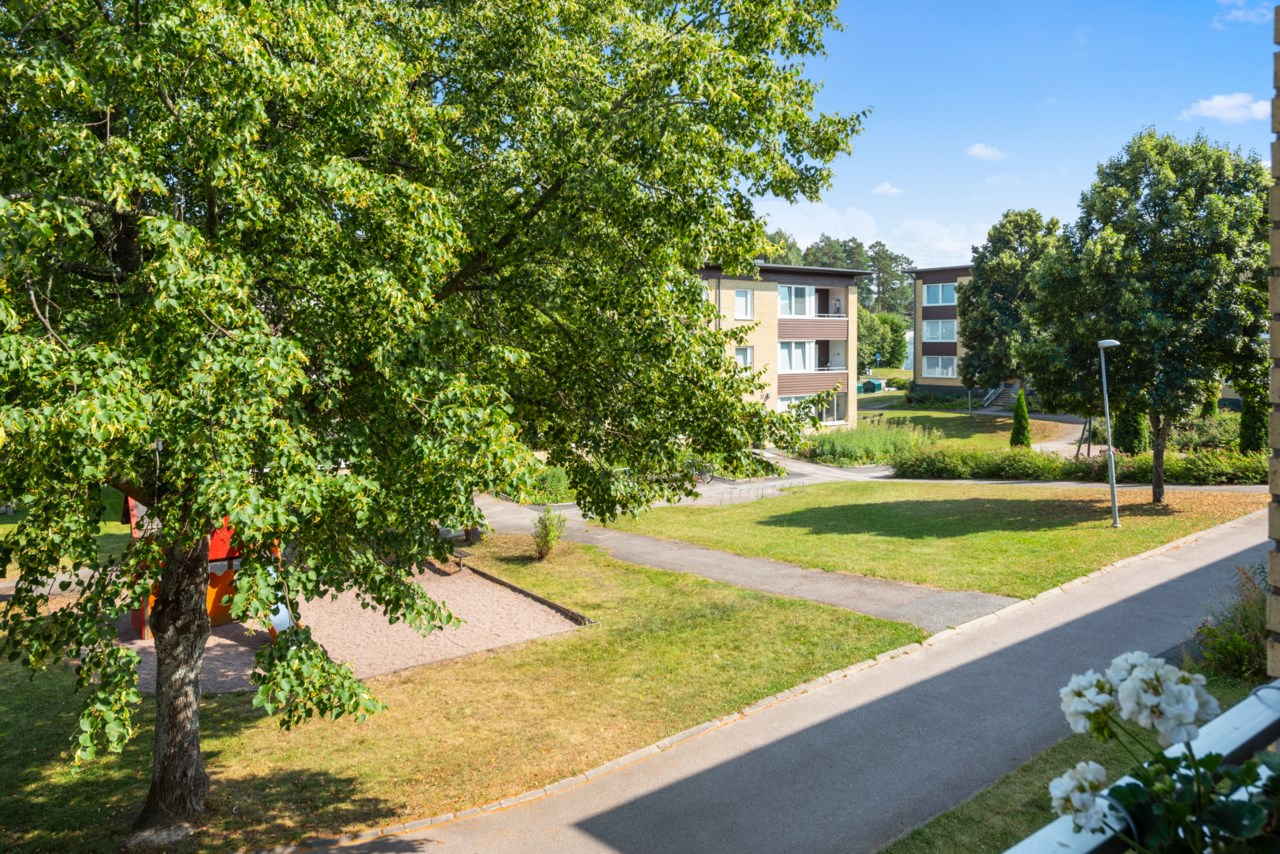 Frejgatan 44