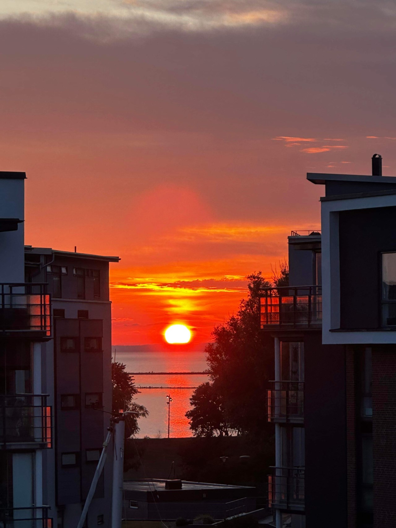 Säljarens bild