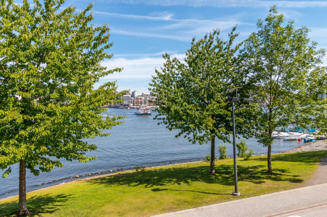 Luma vid Hammarby Sjö