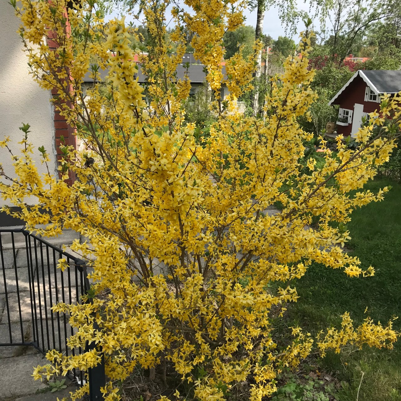 Terrängvägen 23