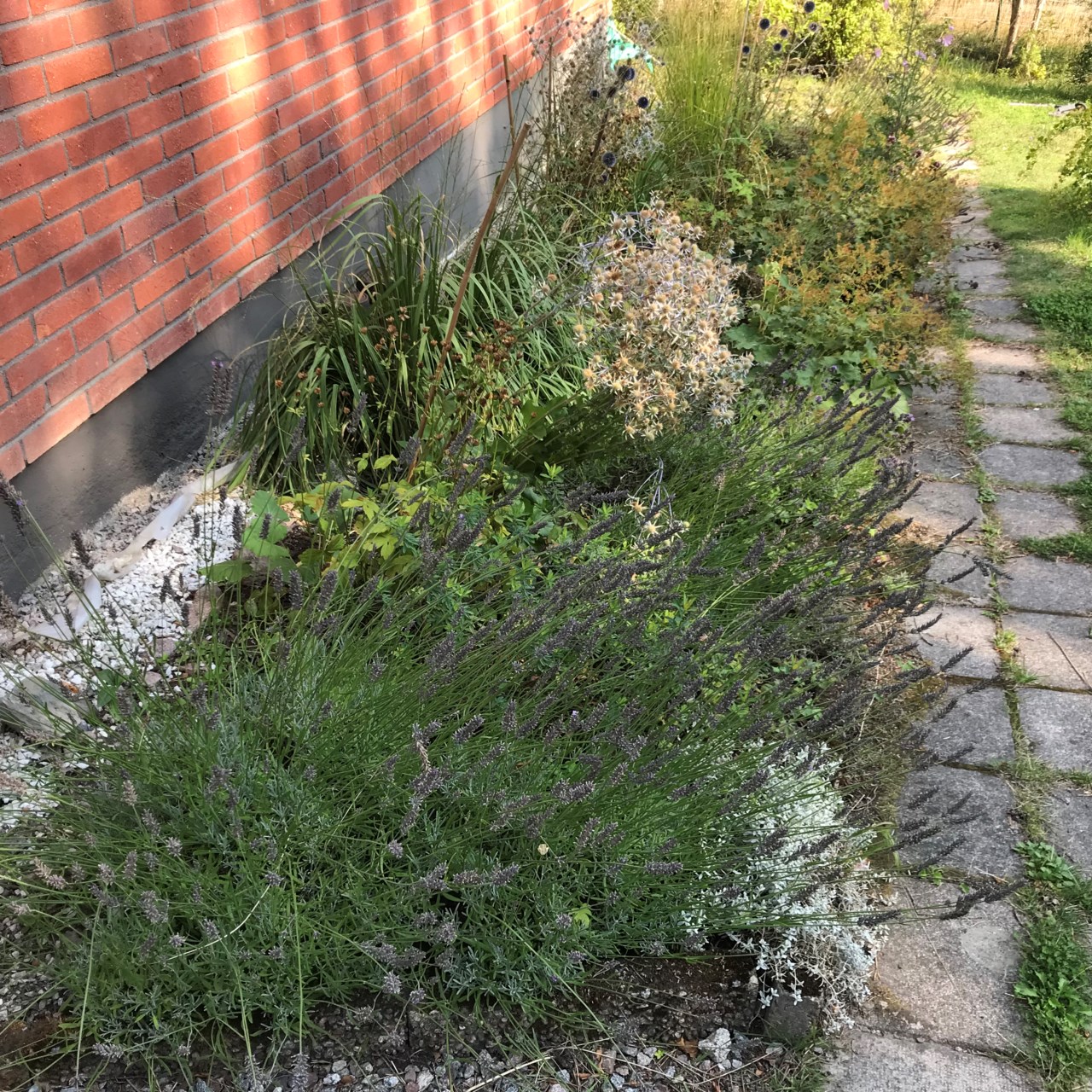 Terrängvägen 23