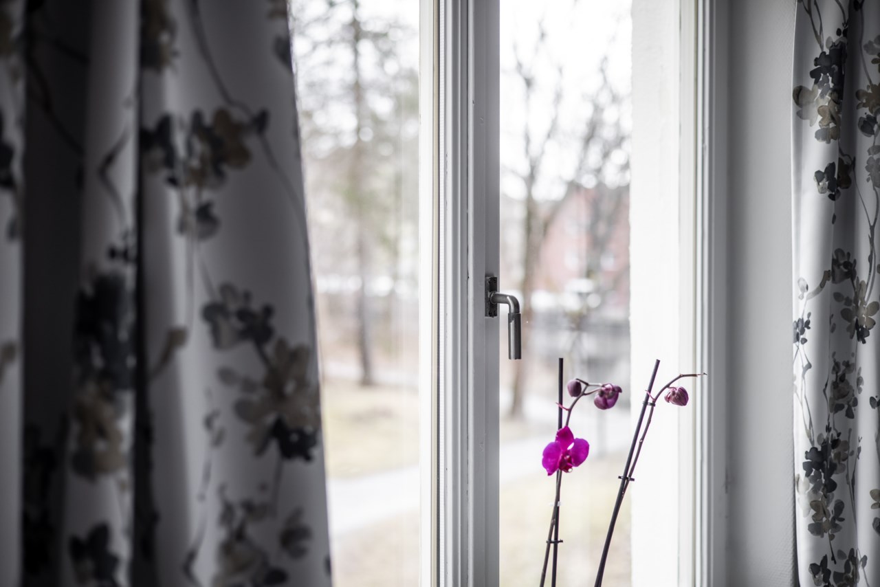 Terrängvägen 73