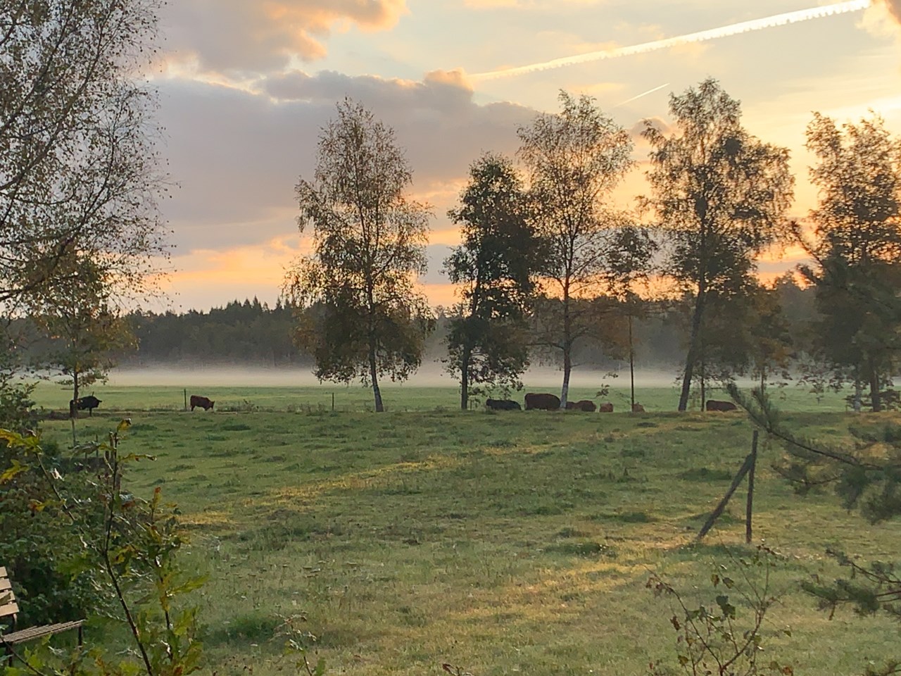 Säljarens egna bilder