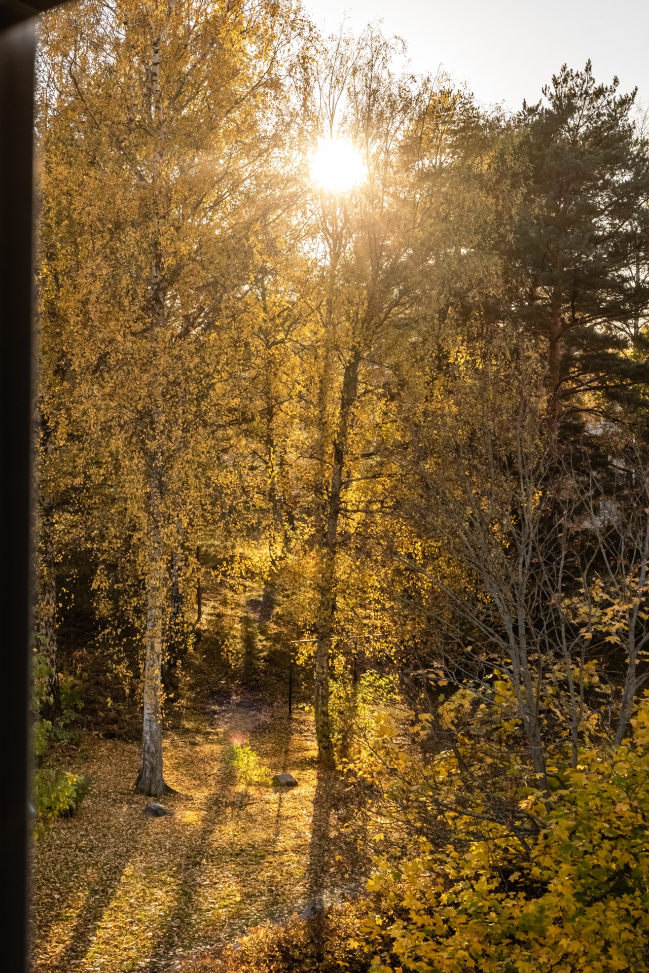 Hammarvägen 48
