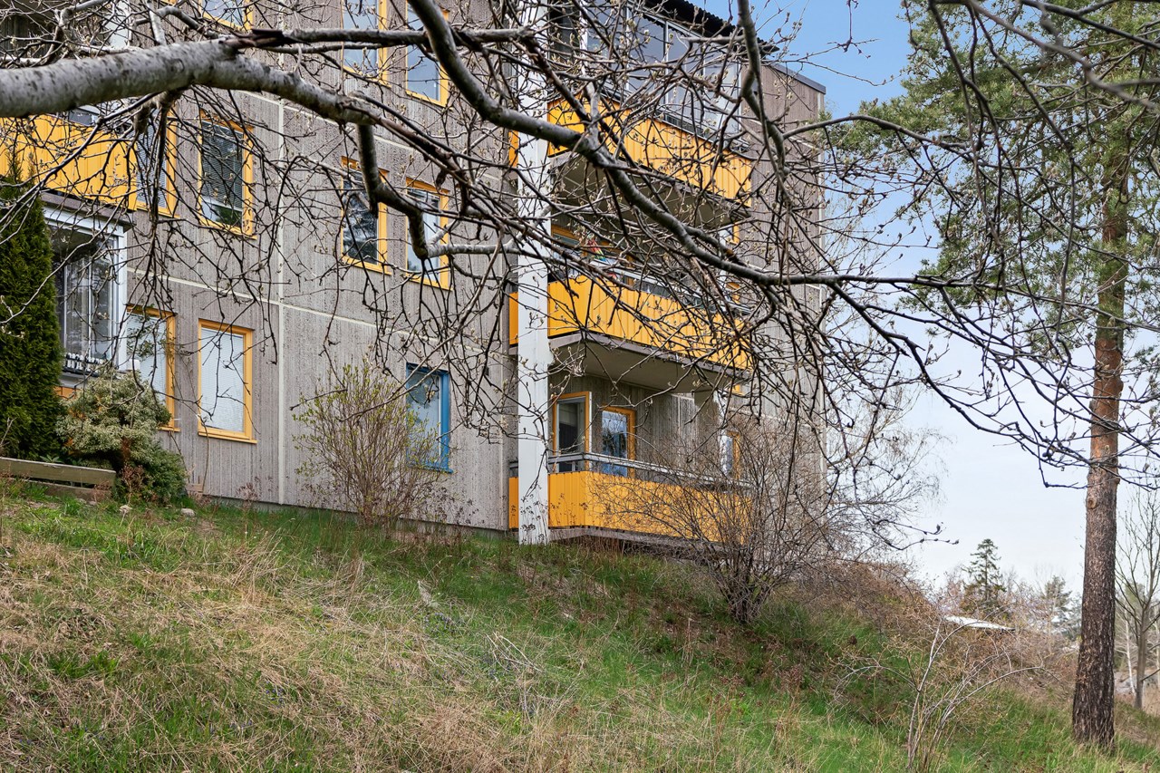 Ormingeringen 39