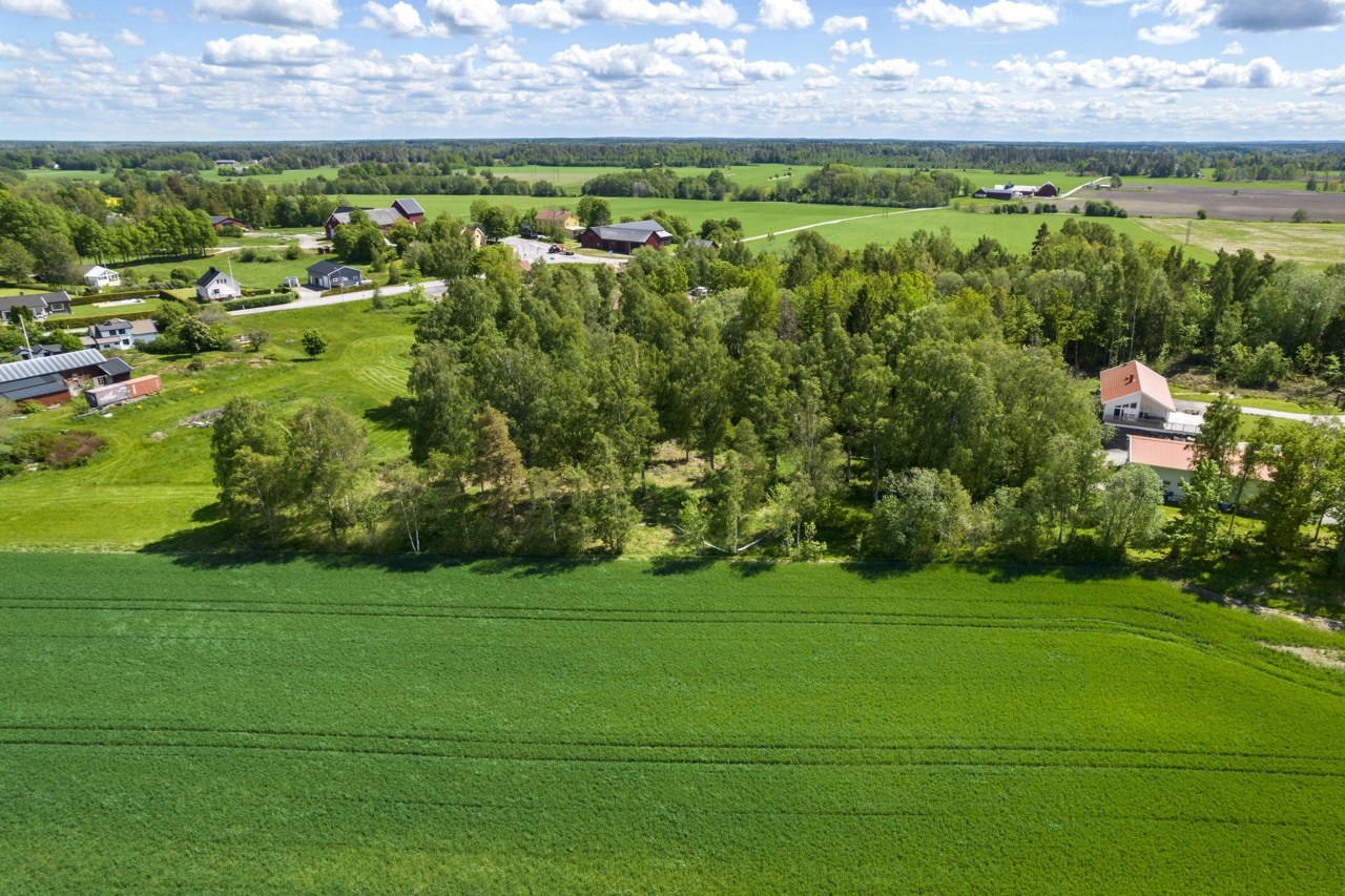 Tre tomter planeras, denna belägen till vänster i hörnet av dungen.