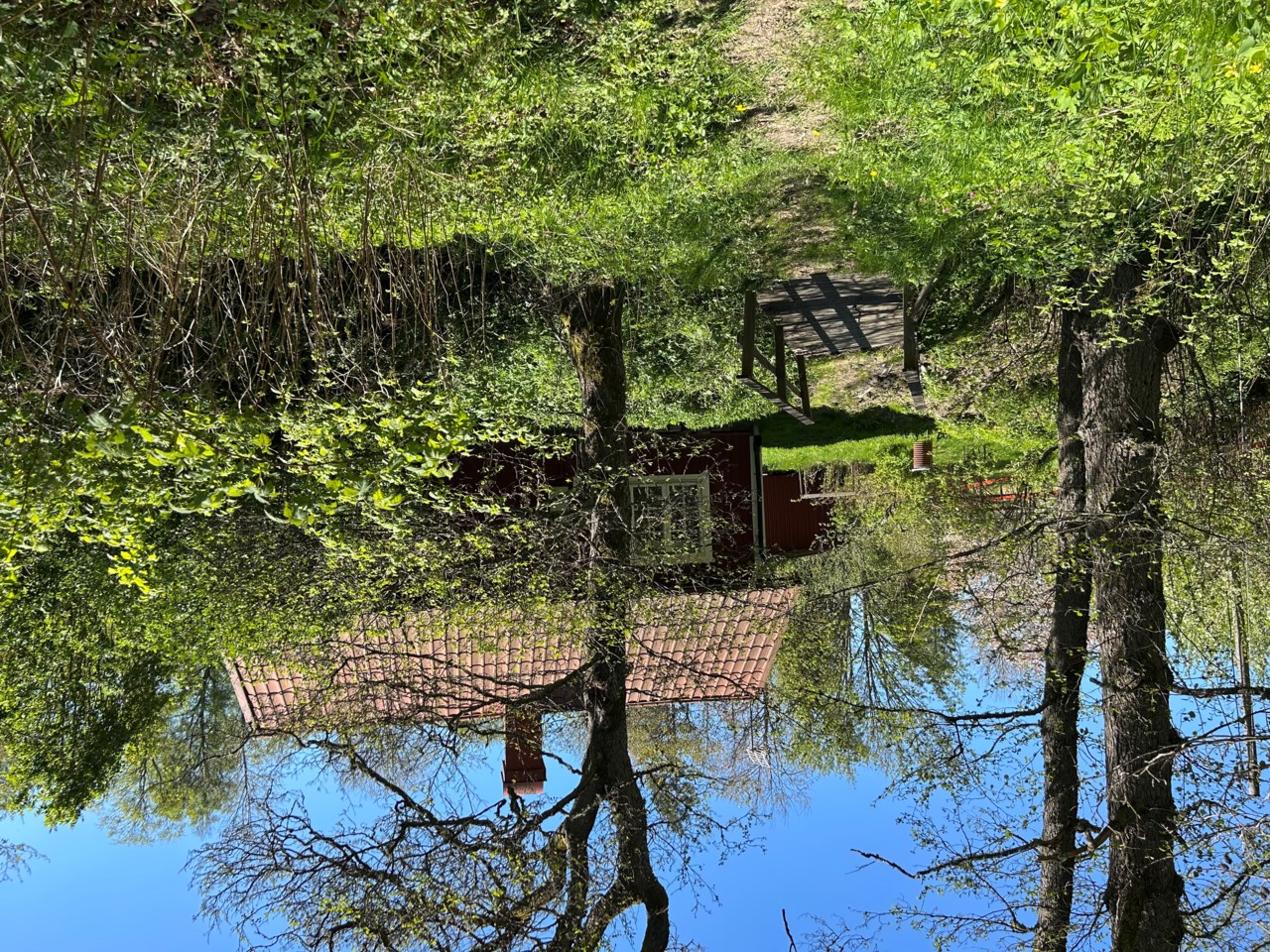 Huset sett från tomten