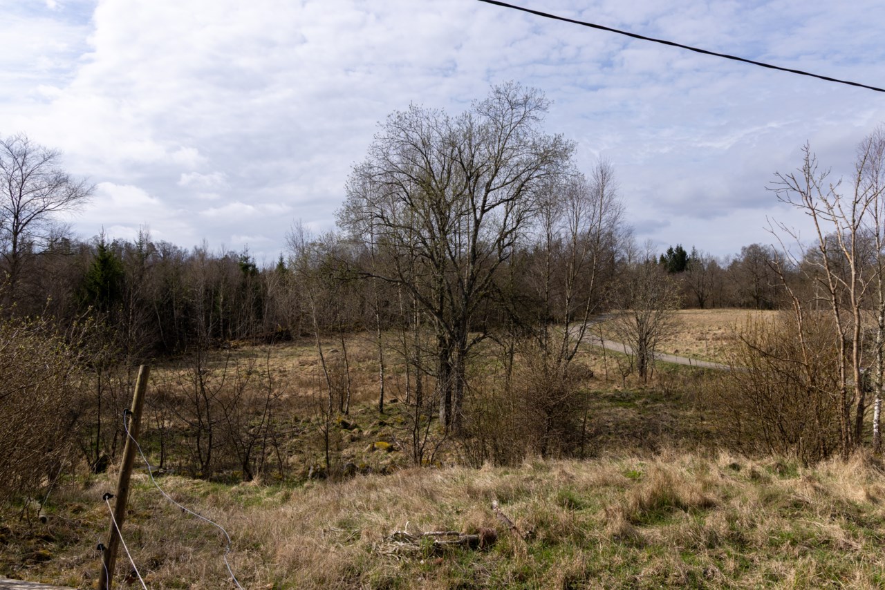 Rås 5