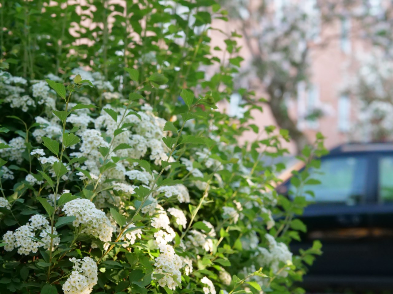 S:t Göransgatan 24B