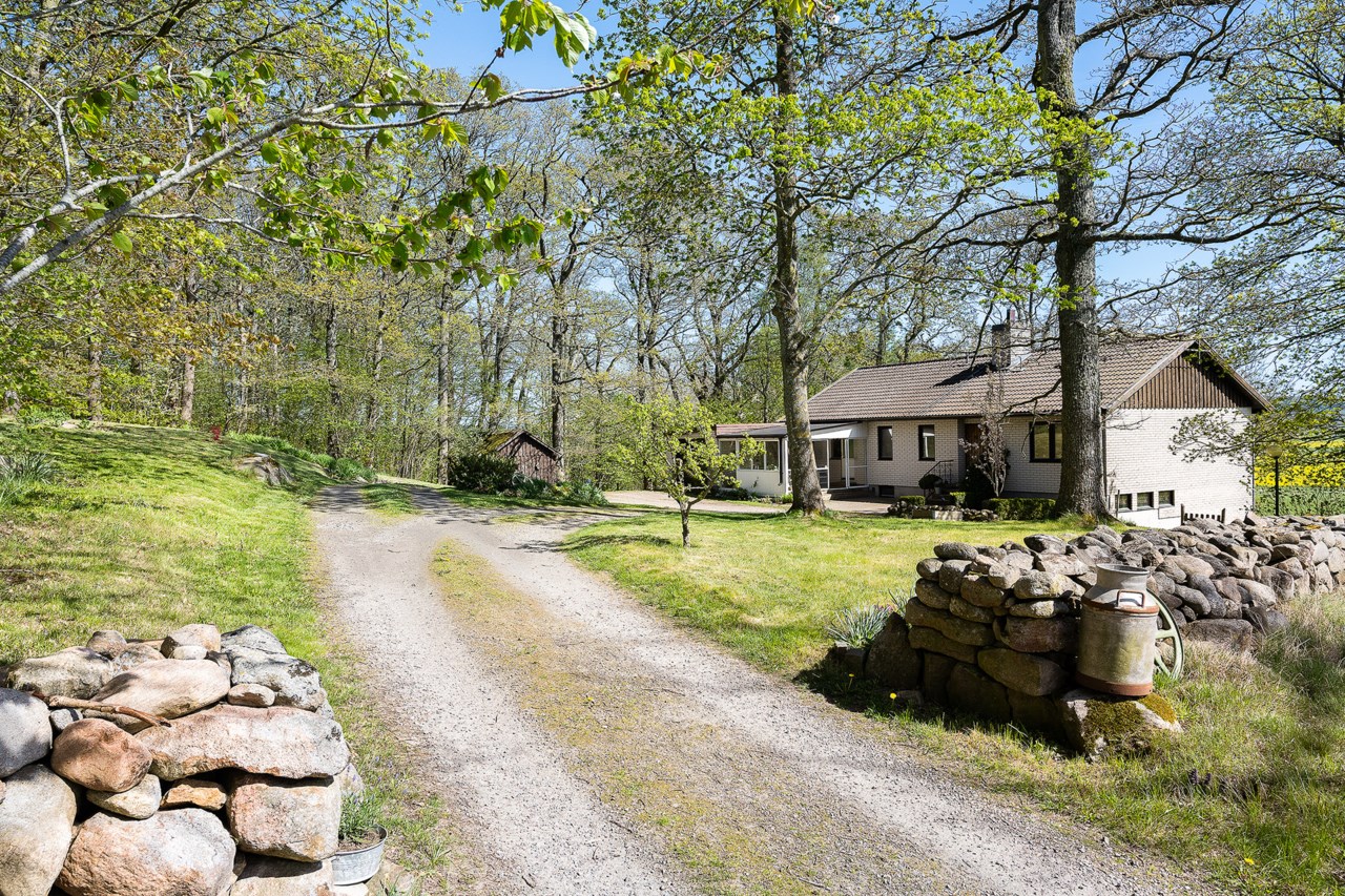 Röllike 102