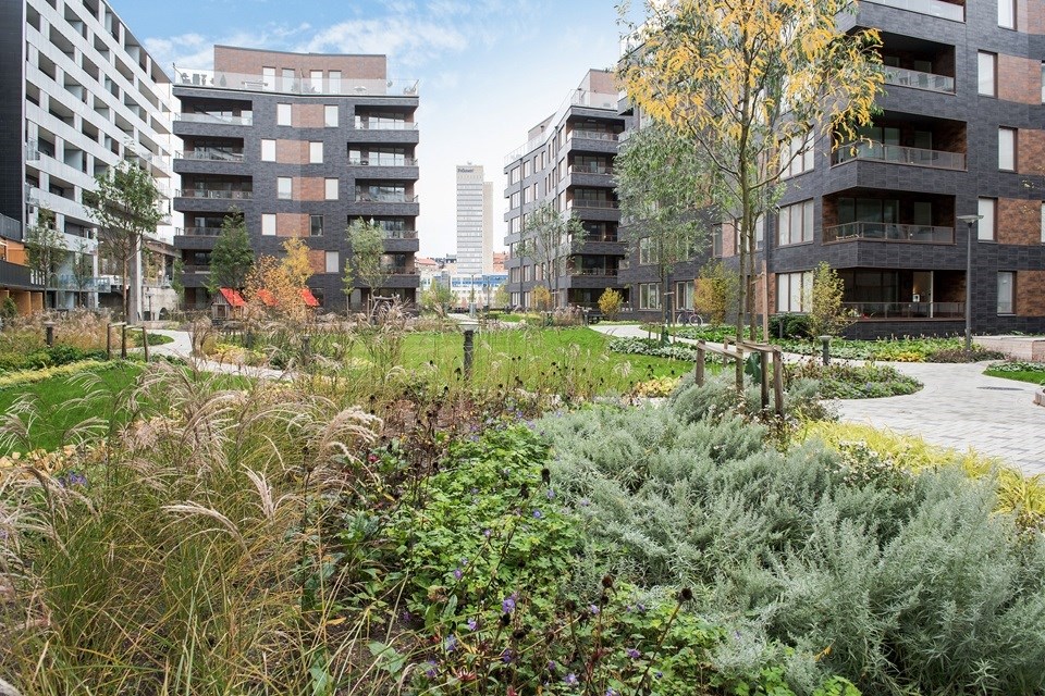 område ha 15