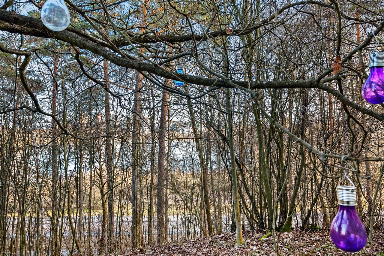 Logdansvägen 36