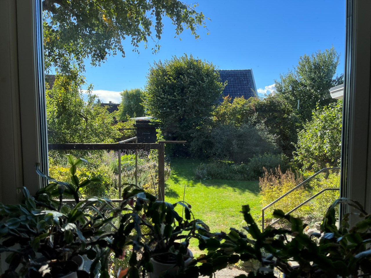 Säljarens sommarbild