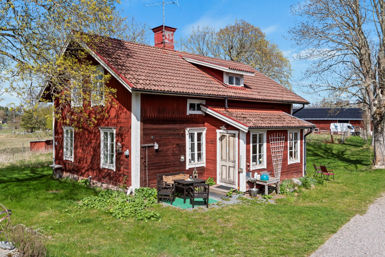 Torp