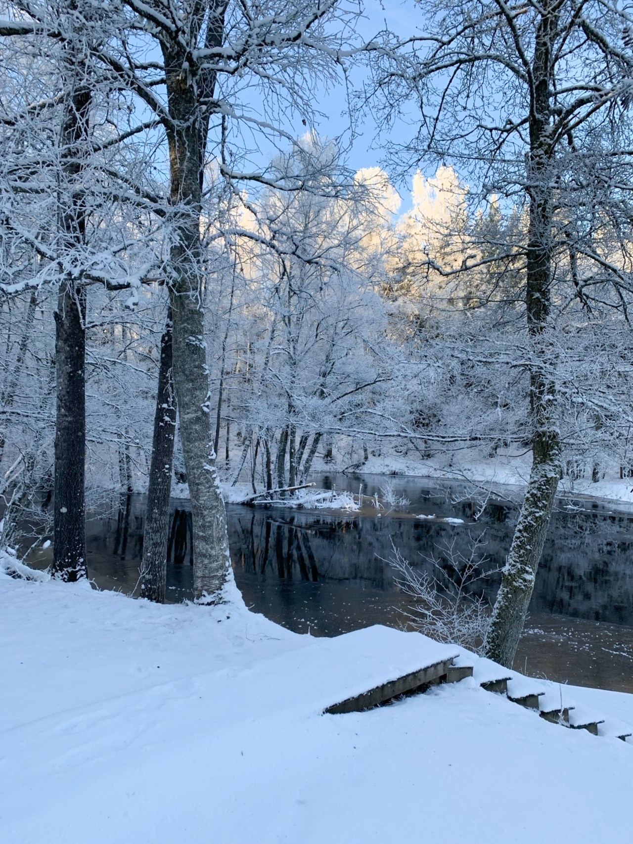 Säljarens egna bilder