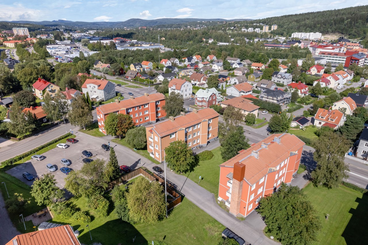 Fina grönområden runt föreningen