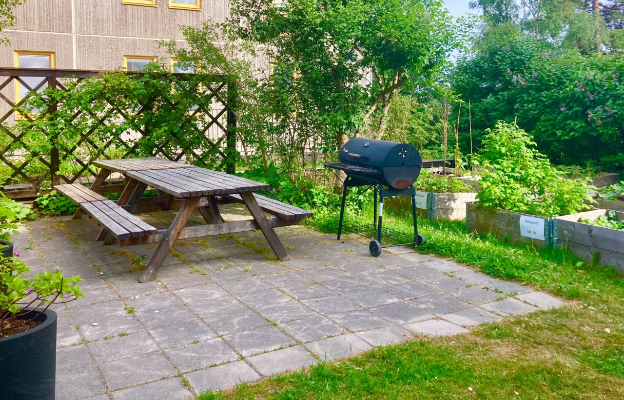 Ormingeringen 35