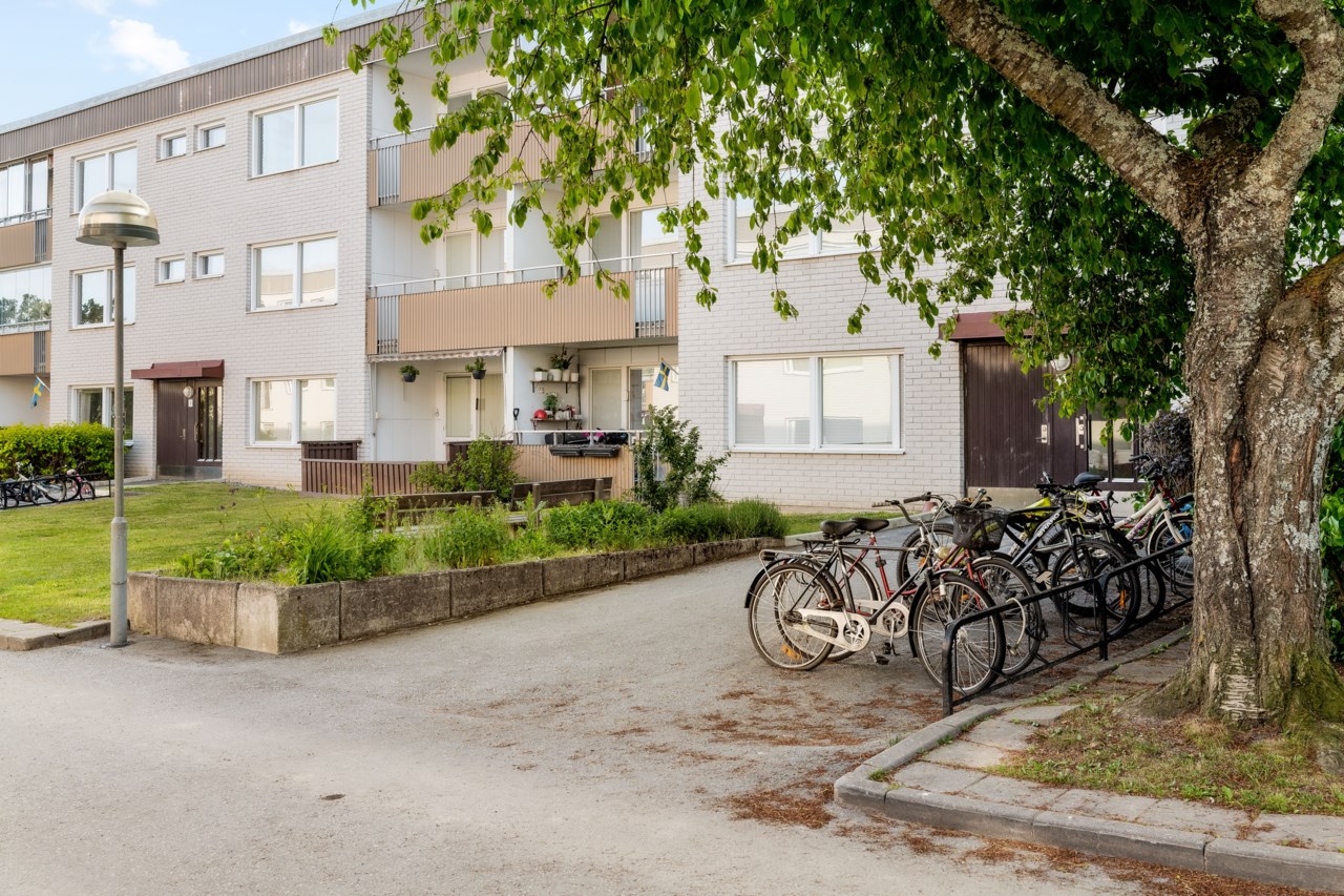 Hjortronvägen 5