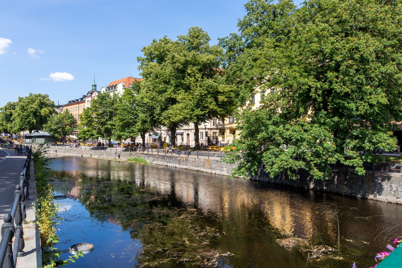 Trädgårdsgatan 10