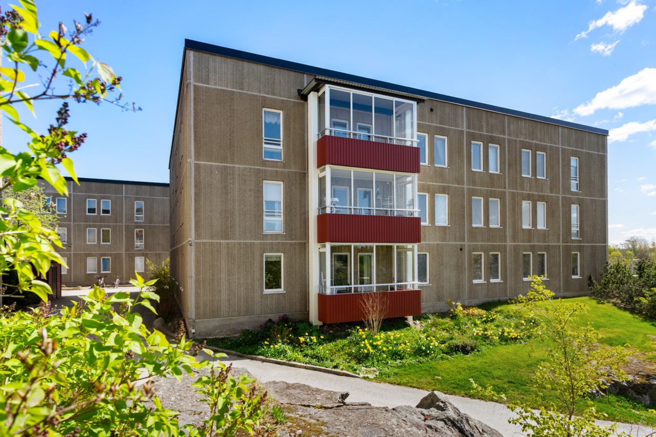 Ormingeringen 1