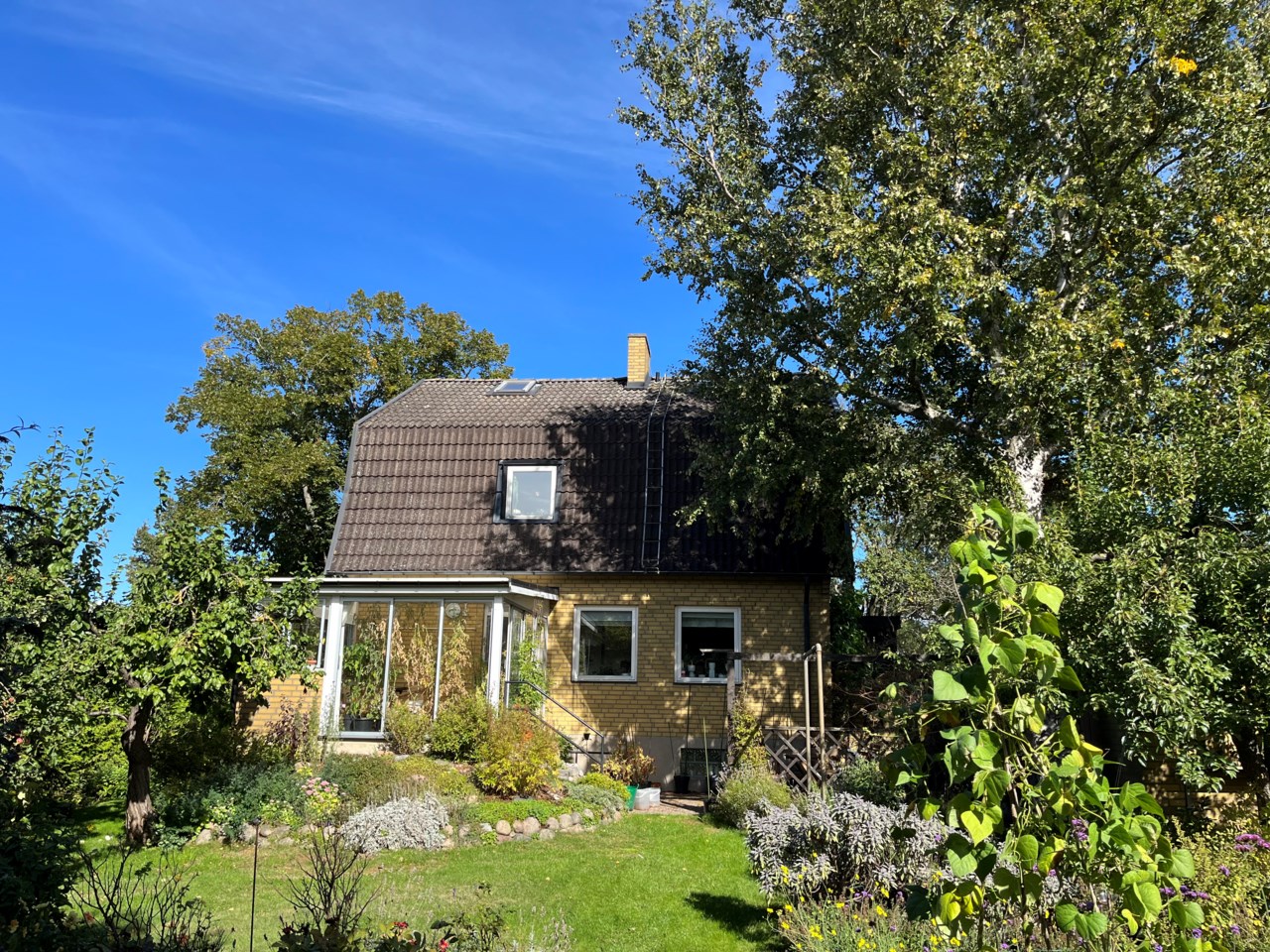 Säljarens sommarbild
