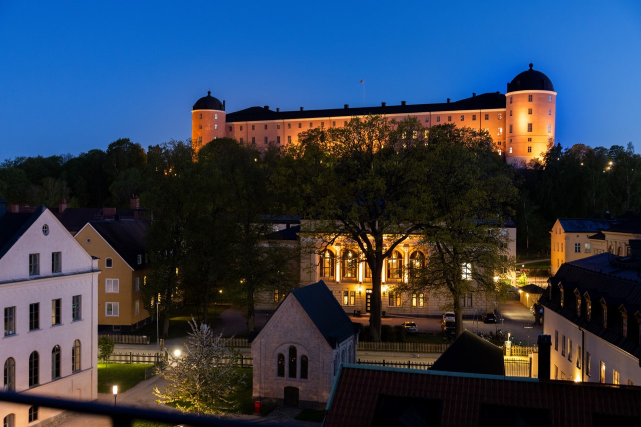 Västra Ågatan 22