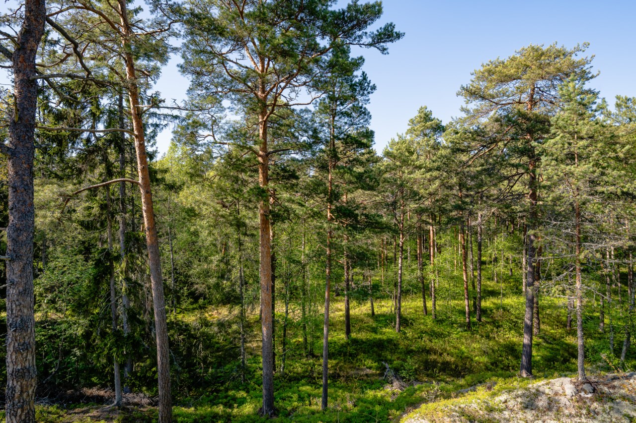 Norra Skålviksstigen 25