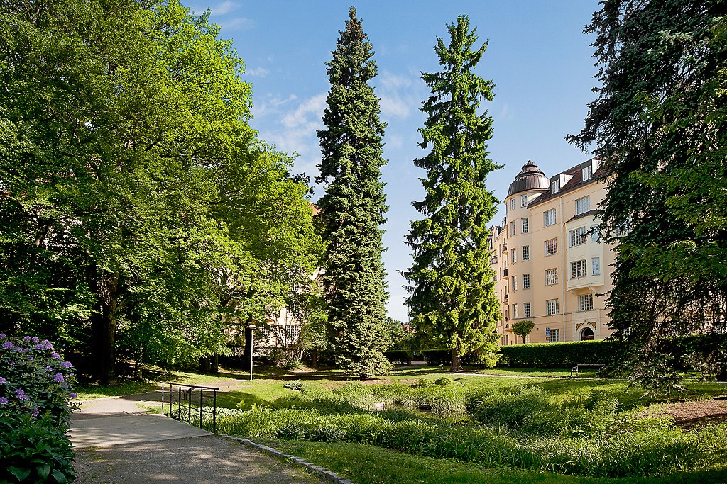 Gamla Råsunda