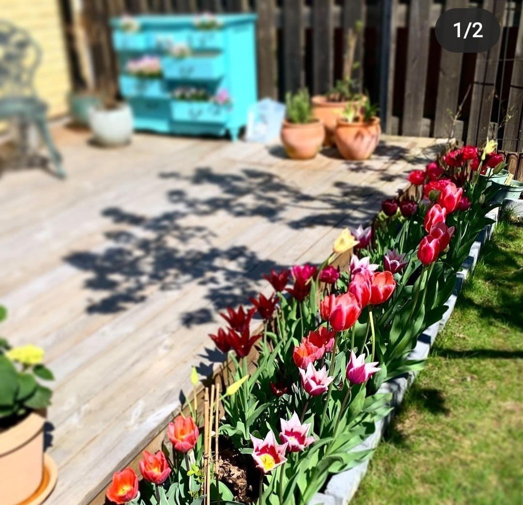 Lilla Björnens Gränd 8